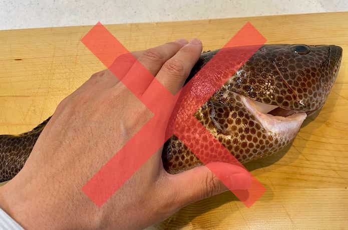 触りすぎない