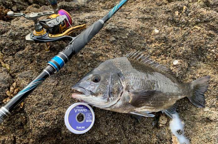 Vハードでチヌ釣り