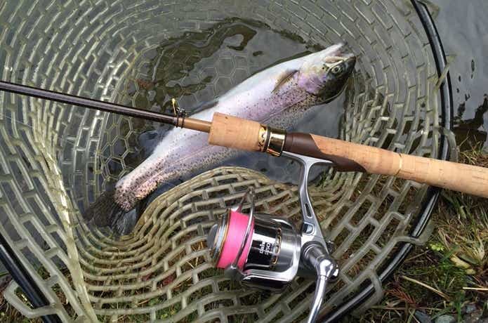 アジングロッドで釣ったトラウト