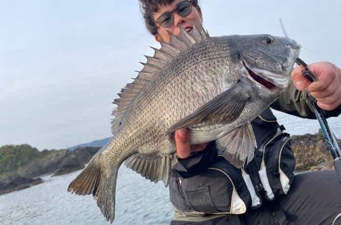 アテンダー3で釣ったチヌ