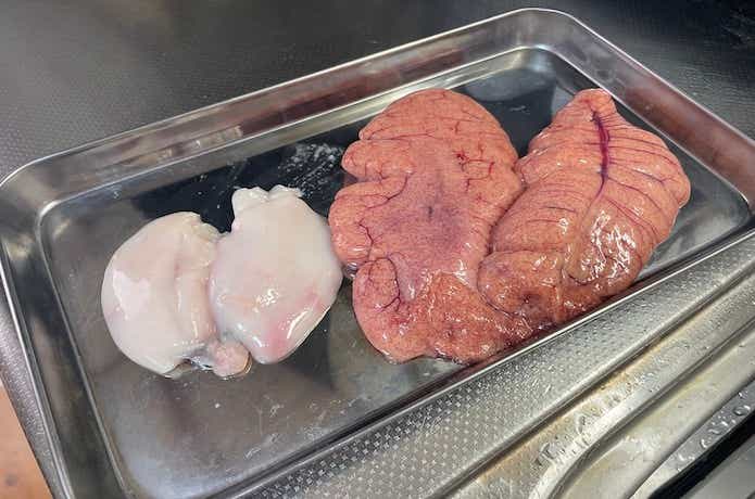 卵巣と白子