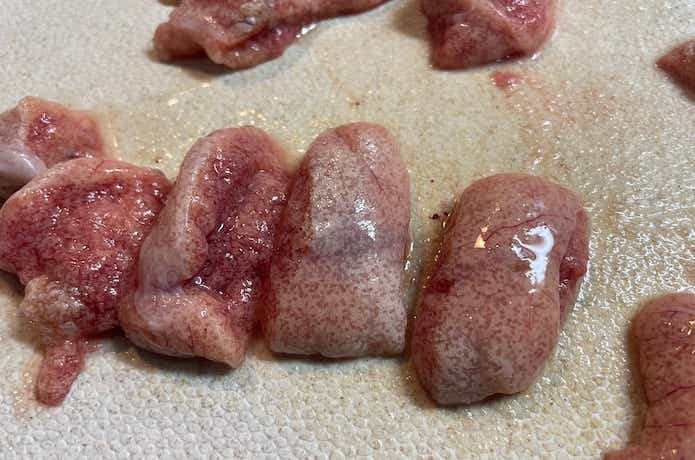カットした卵巣