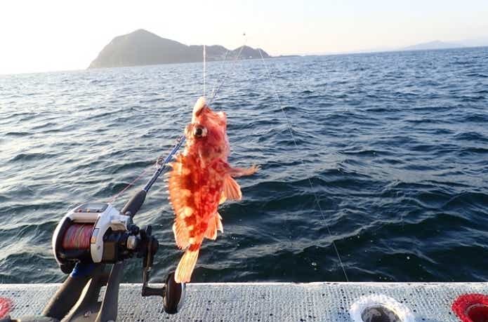 初心者向け船釣りカサゴ五目