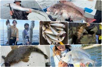 【2024年】5月に釣れる東京湾の魚を特集｜“釣り日和”な時期。釣果を出すには？
