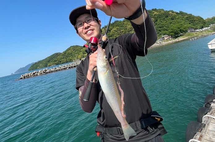 キスの釣果