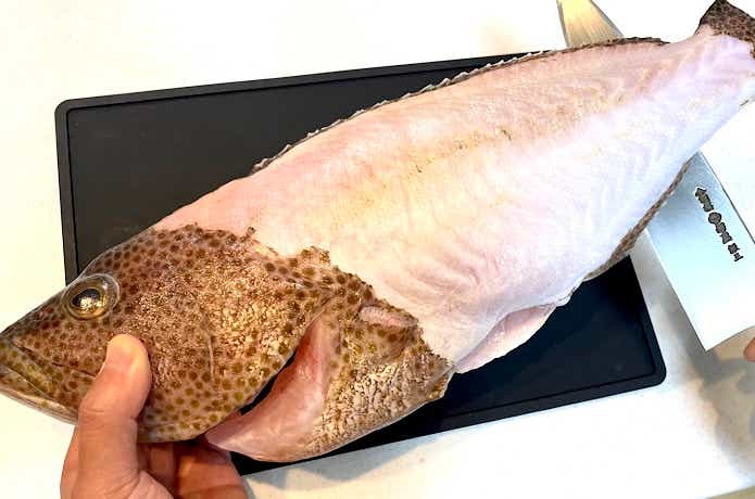 魚体を折り曲げないように持つ