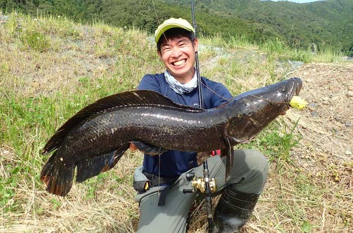 雷魚釣りを始めてみよう