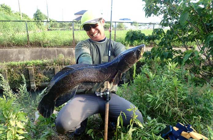 雷魚ロッドのパワー帯について