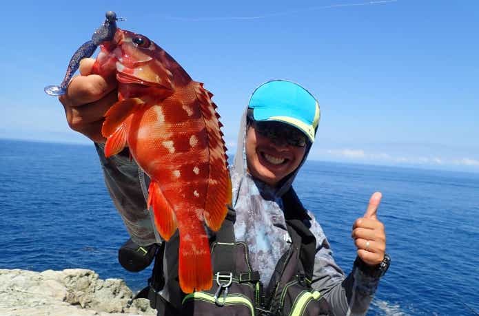 ロックフィッシュの釣り