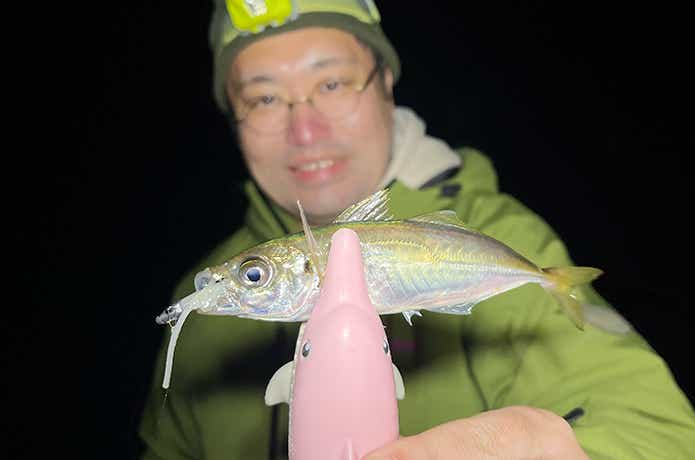 アジ