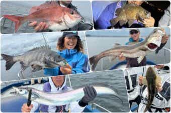 【2024年】6月に釣れる東京湾の魚を特集｜雨シーズン突入で釣果上向き！？