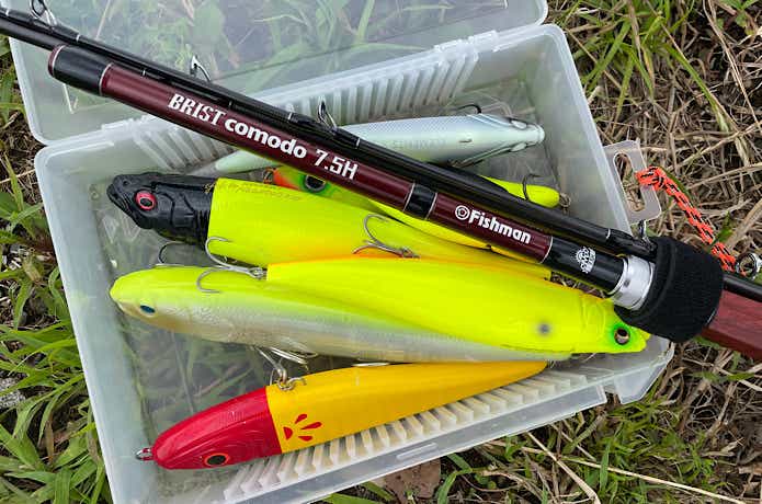 ブリスト コモド 7.5H