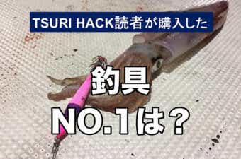 【2024年5月ランキング】TSURI HACK読者が最も購入した釣り道具TOP16