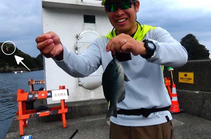 メジナが釣れてもコマセが落ちない
