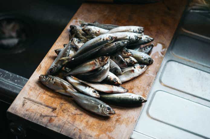 大漁の小アジ