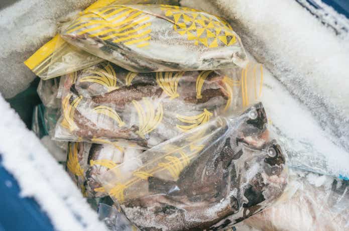 冷凍された魚