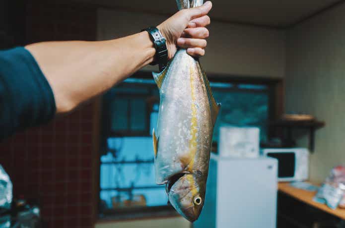 鮮度の落ちた魚