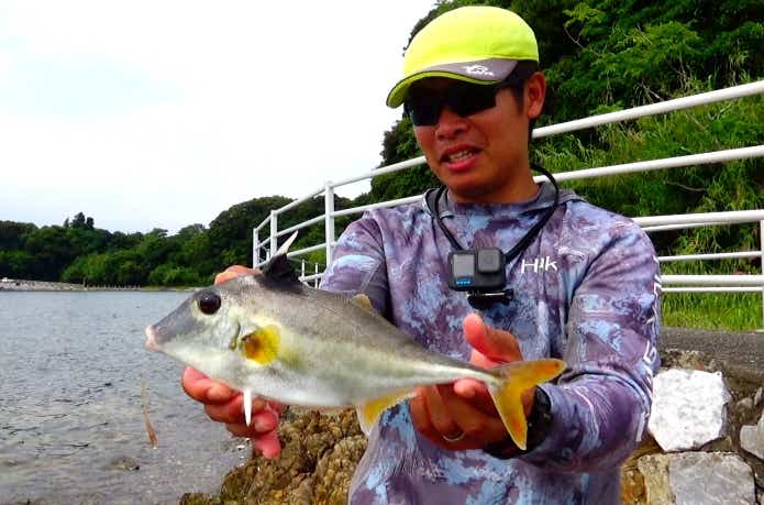 ギマの釣果