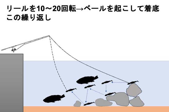 スイミング