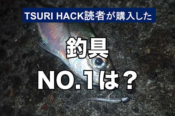 釣り 仕掛けなど44点まとめ売り 2024年6月ランキング】TSURI HACK読者が最も購入した釣り道具