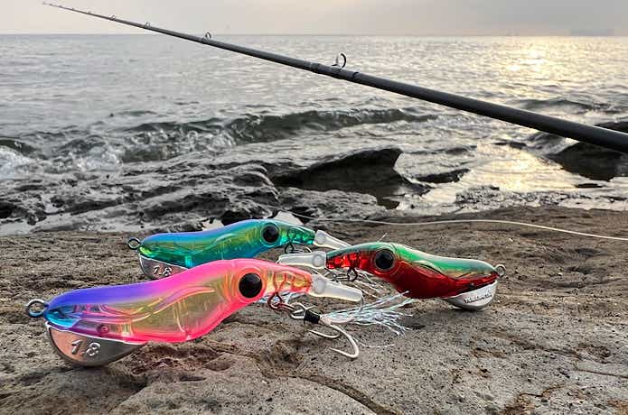 数量限定】ちょんちょん 50魚種 チャレンジセット | ヤマシタと