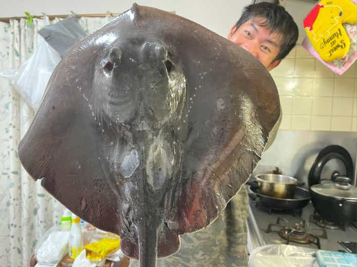 肝が旨いホシエイ
