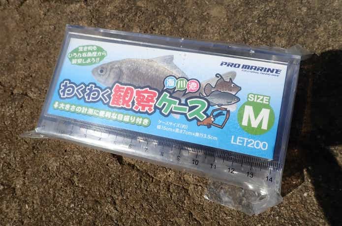 魚を傷めずに観察できるケース