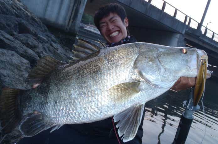 K-TEN BKF140で釣れたアカメ