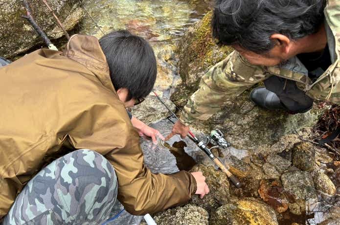 イワナの白斑の有無を確認するアングラー