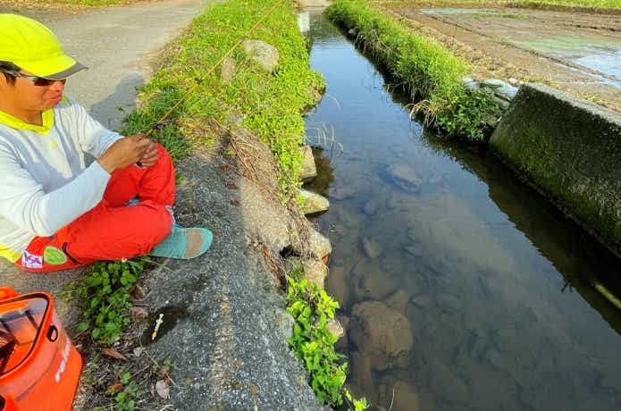 田んぼ脇の水路で魚釣り