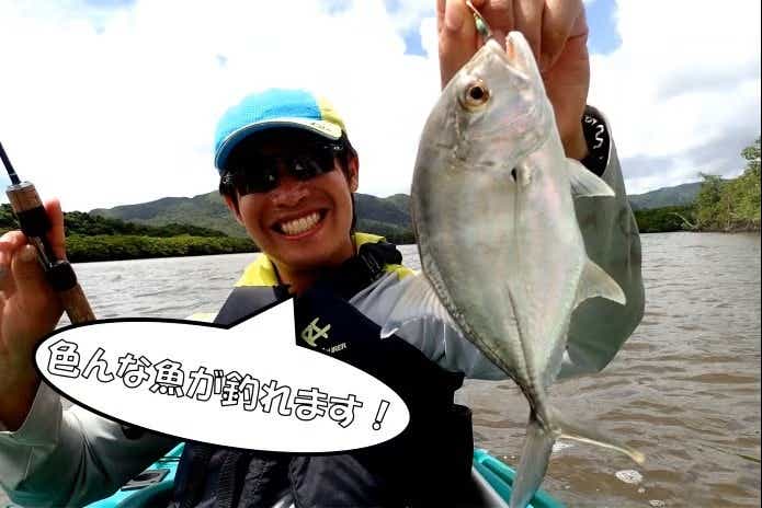 スピナーで釣れたメッキ