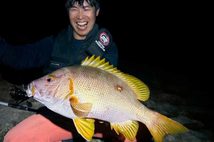 キビナゴで釣れたシブダイ