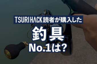 【2024年8月ランキング】TSURI HACK読者が最も購入した釣り道具TOP15