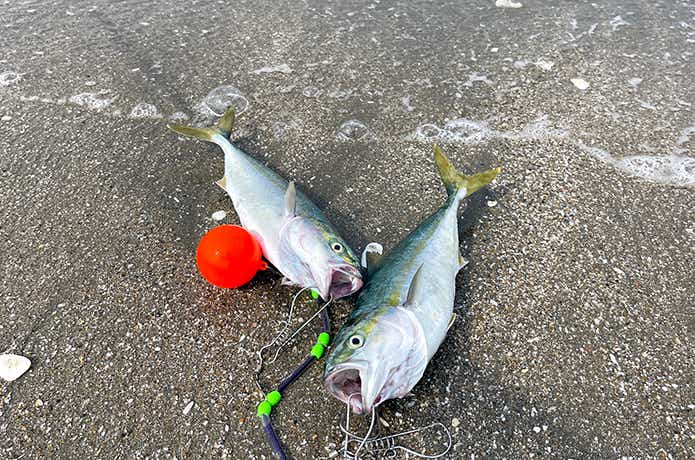 タカ産業のストリンガー