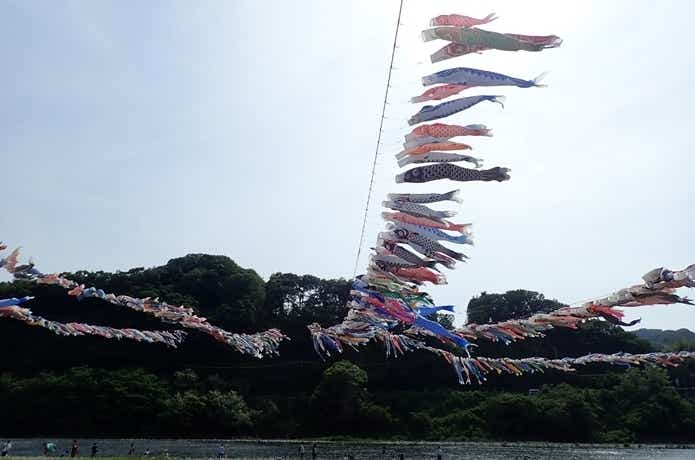 相模川の鯉のぼり