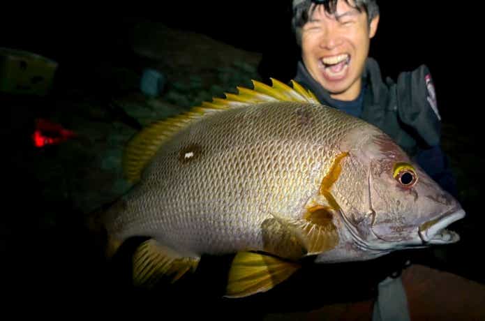 半遊動仕掛けで釣れたシブダイ