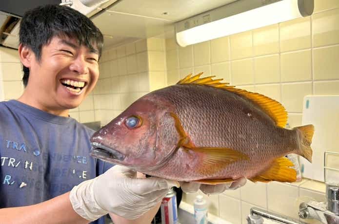 超高級魚とされるシブダイ