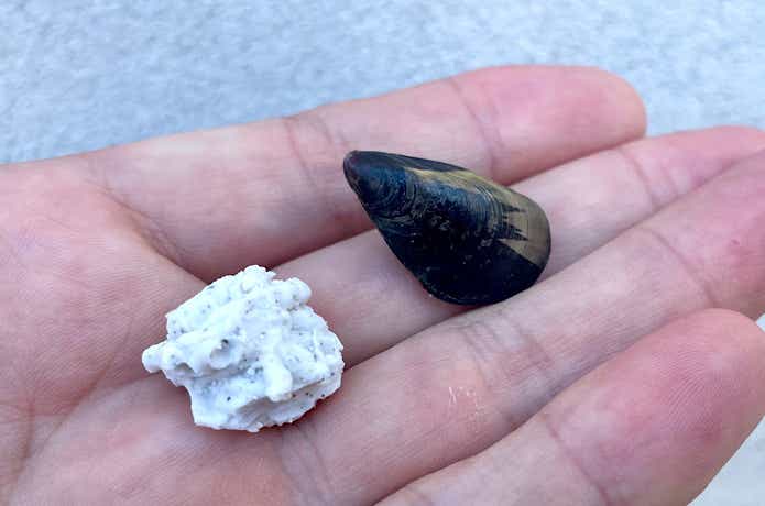 ヘチ釣り用の擬似餌