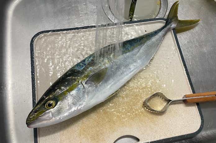 ツバスを洗浄