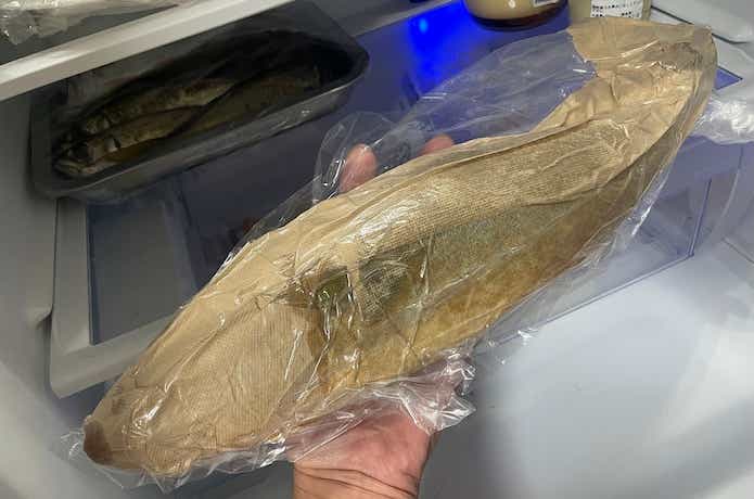 魚を冷蔵保存