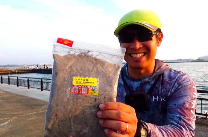 シロメはサビキ釣りの特効餌