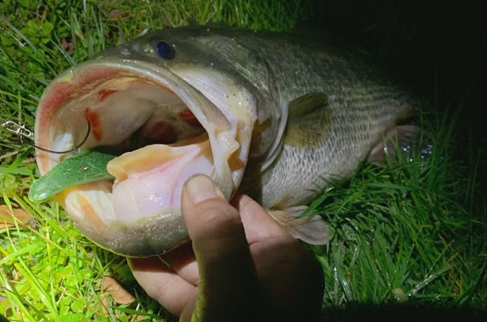 釣りおじさん 即掛 際釣りSP240 - HAPPY ANGLER 公式サイト