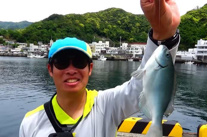 堤防から釣れた木っ端グレ