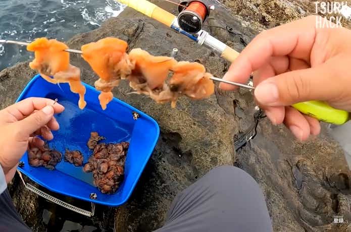 ウニ通しを使って赤貝を付ける
