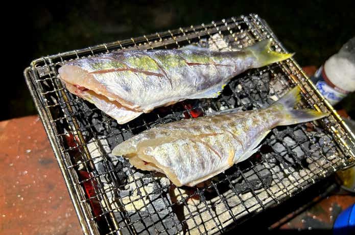 タンガニーカ湖の魚の味は海産魚と同じ