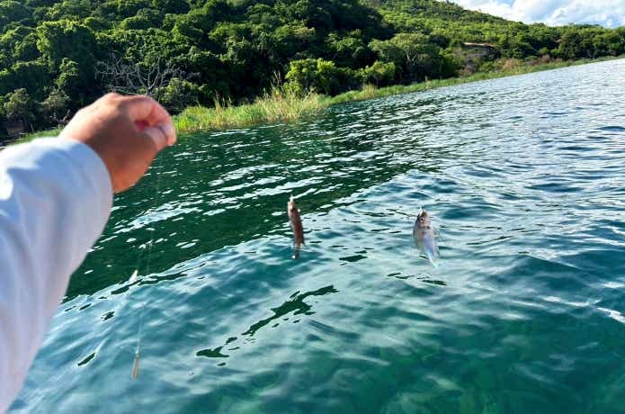 タンガニーカ湖でのサビキ釣り