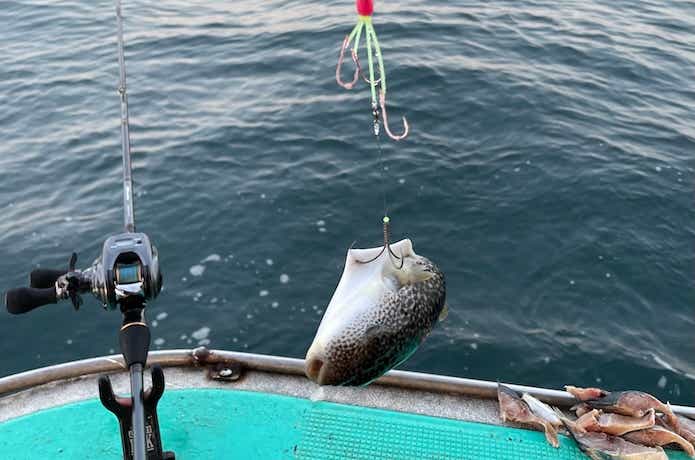カットウフグ専用竿