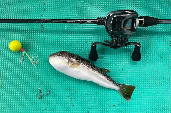 ダイワ カットウ ANALYSTAR HH-145 釣り竿（ダイワ メタリア