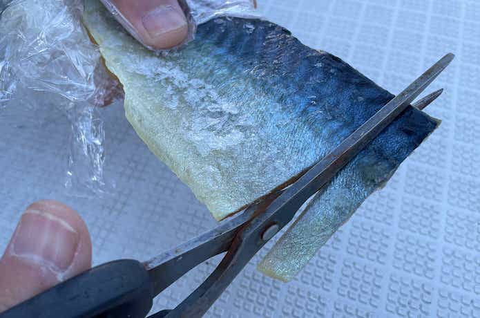 バンノウバサミでサバの切り身を切り出す