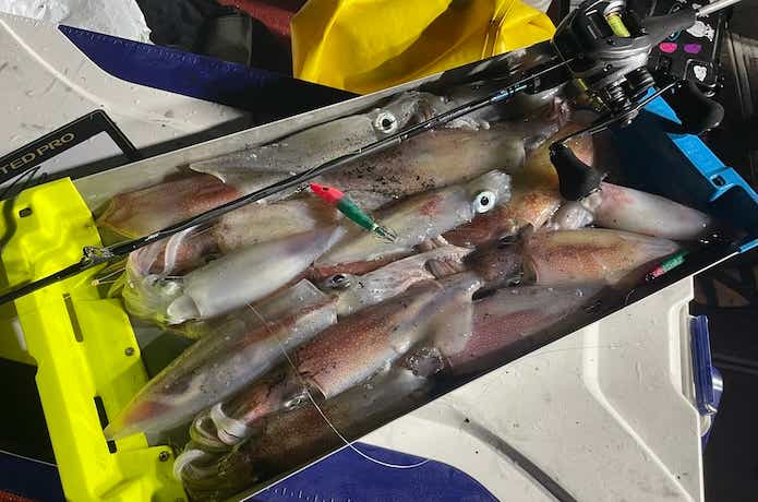 エメラルダスAIRイカメタルでの釣果